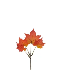 Lønnekvist Oransj H20