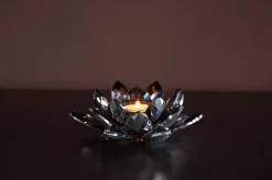 Lotus Telysholder