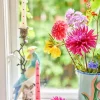 Lys Med Rosa Kirsebær-Kjærlighet-Mønster