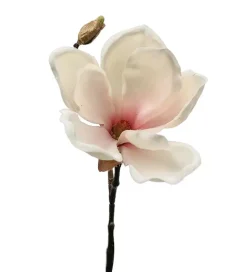 Magnolia 30 CM Rosa