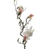 Magnolia H135