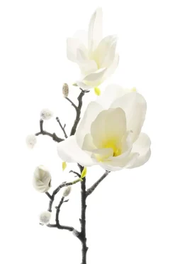 Magnolia H60 Hvit