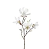 Magnolia H50 Hvit