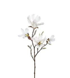 Magnolia H50 Hvit