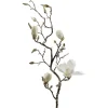 Magnolia Hvit H135