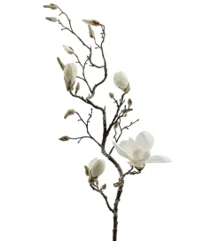 Magnolia Hvit H135