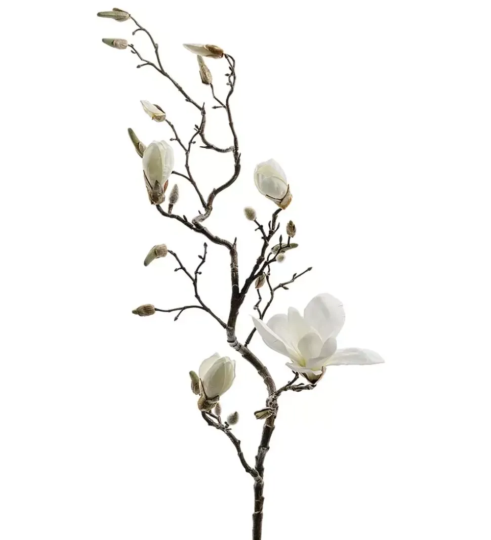Magnolia Hvit H135