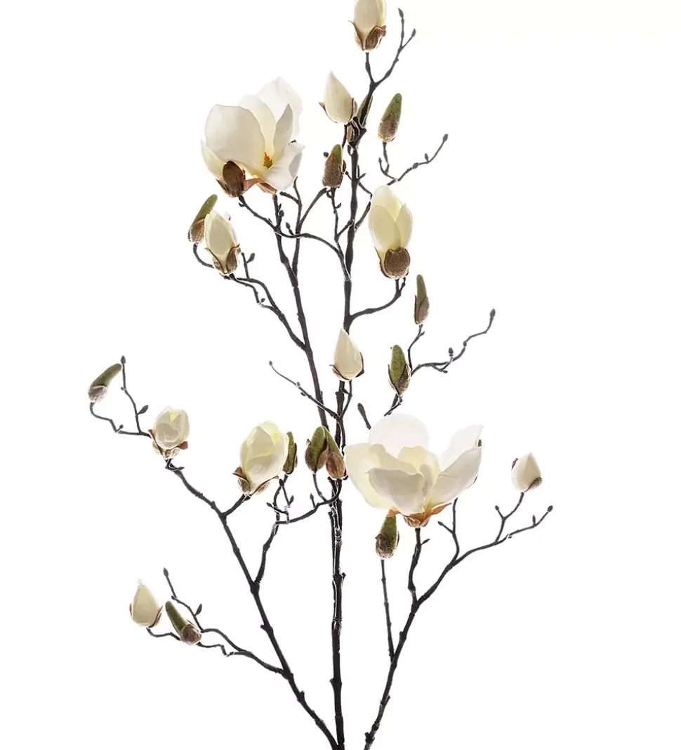 Magnolia Kvist H110 Hvit