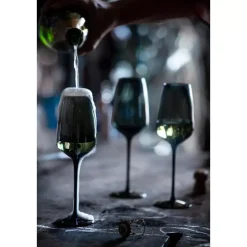 Magnor Noir Champagneglass H24