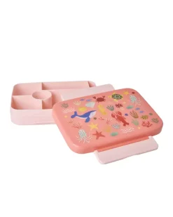 Matboks Med 6 Rom Coral Ocean