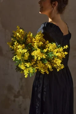 Mimosa Gul H68