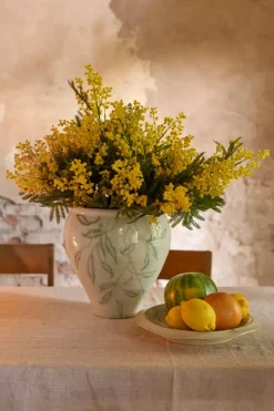 Mimosa Gul H68