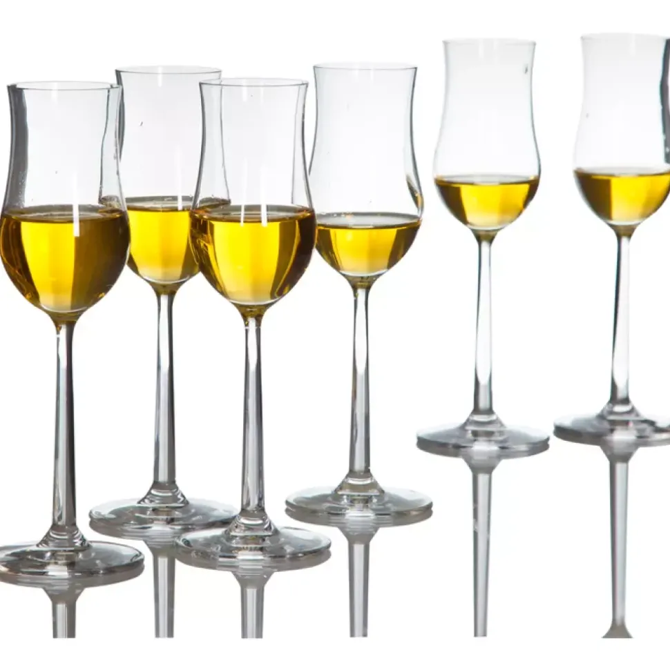 Modern House - Sontell - Cognacglass 6-pk - 10 cl