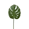 Monstera Blad H60