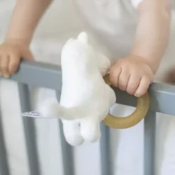 Moomin Biteleke