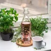 Moomin Glassflaske - Epler