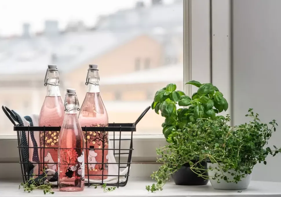 Moomin Glassflaske - Epler