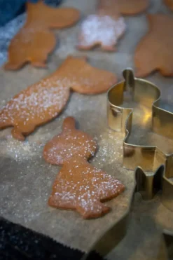 Moomin Pepperkakeformer Vinter 3 Stk