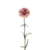 Nellik Rosa H44