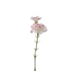 Nellik Rosa H31
