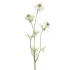 Nigella H63