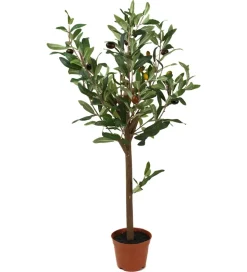 Oliventre H60
