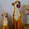 Oransj Leopard H51