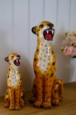 Oransj Leopard H51