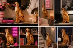 Oransj Leopard H51