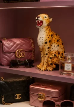 Oransj Leopard H34