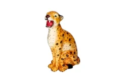 Oransj Leopard H34