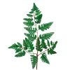 Ormeblad H45