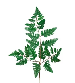 Ormeblad H45