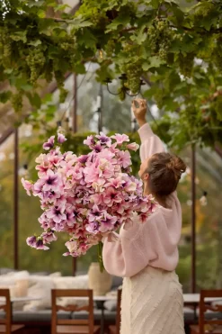 Petunia Rosa H90