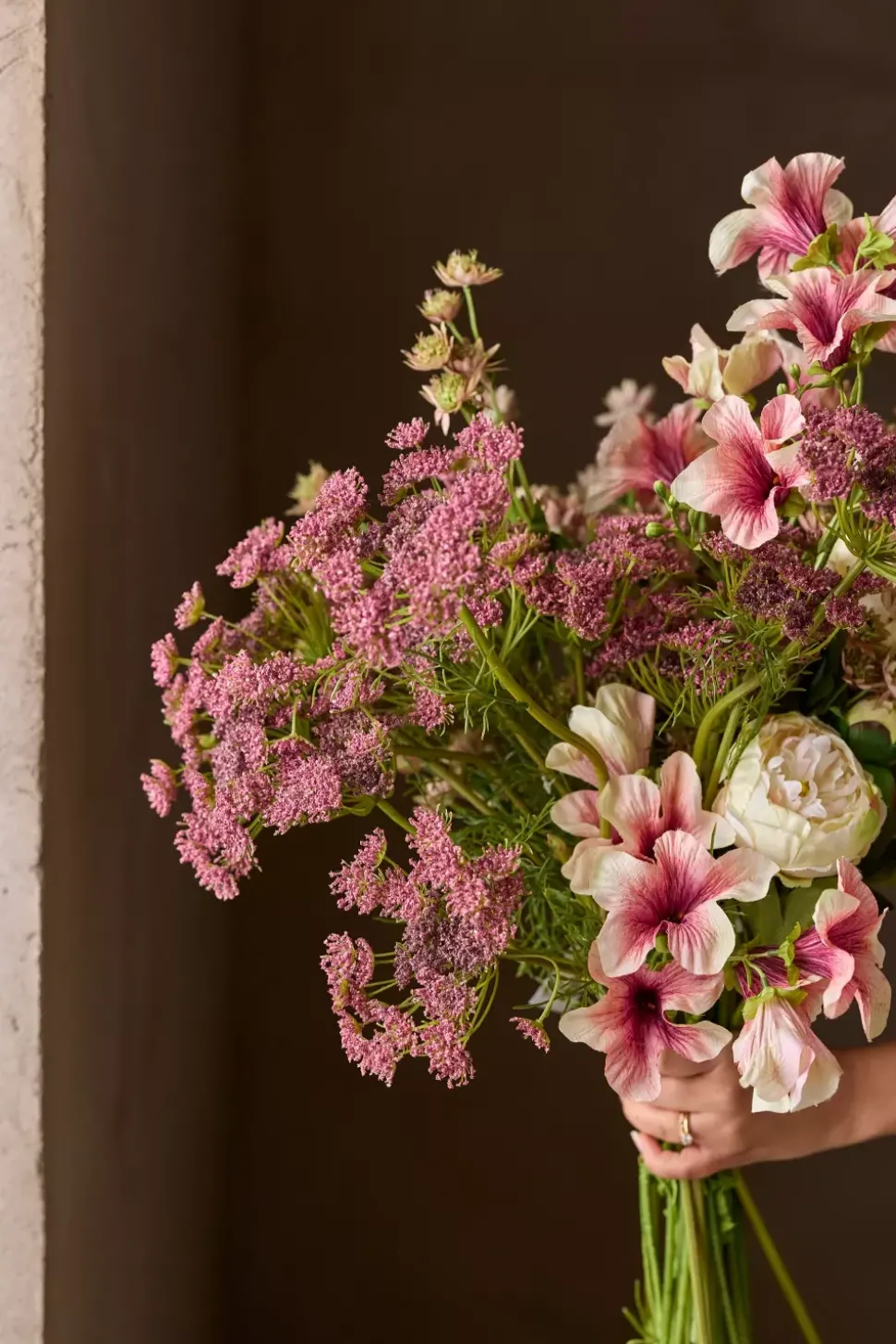 Petunia Rosa H90