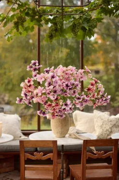 Petunia Rosa H90