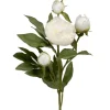 Pion Hvit H65