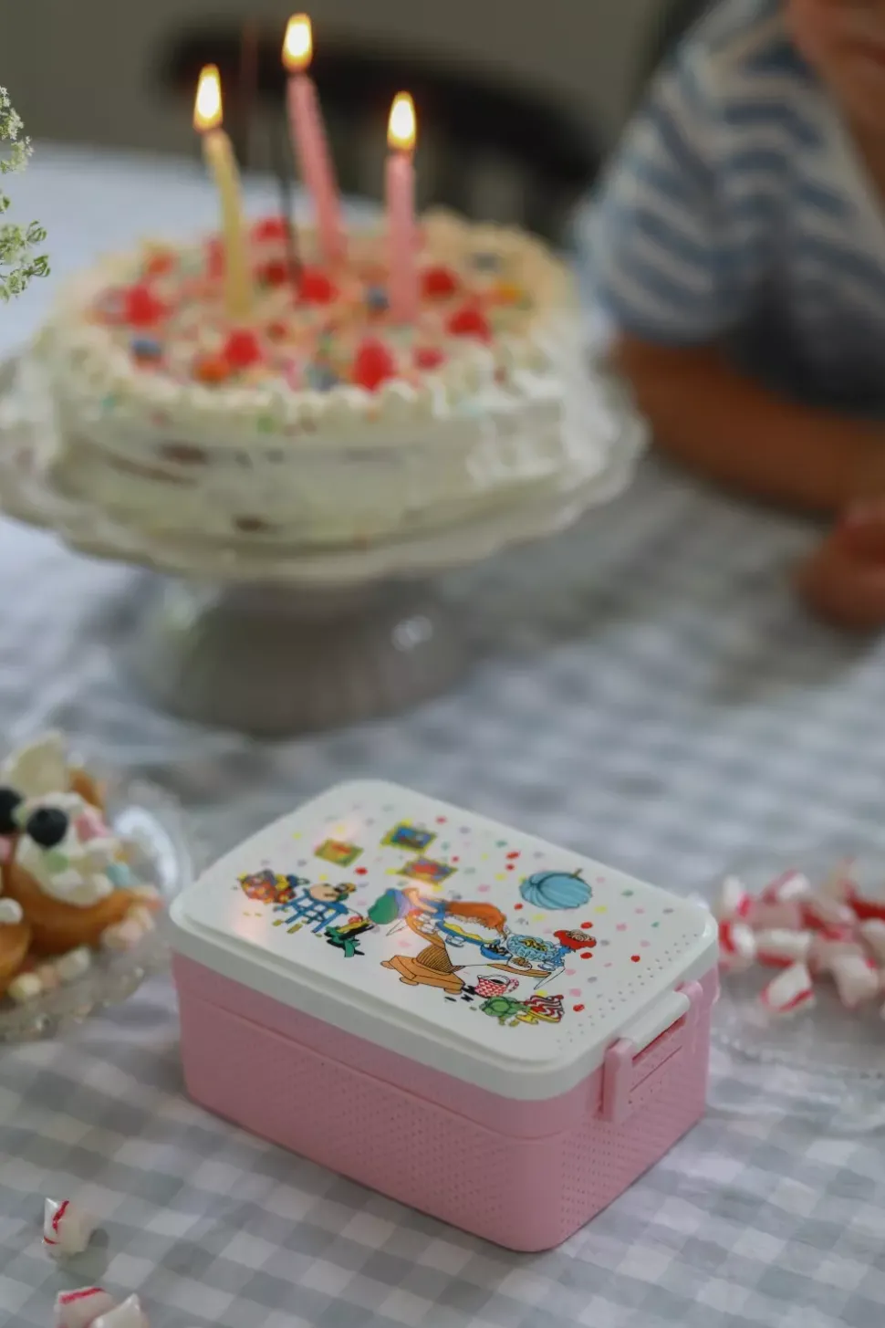 Pippi Fødselsdag Matboks