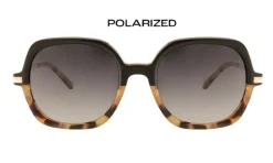 Positano Polarized Hedgehog