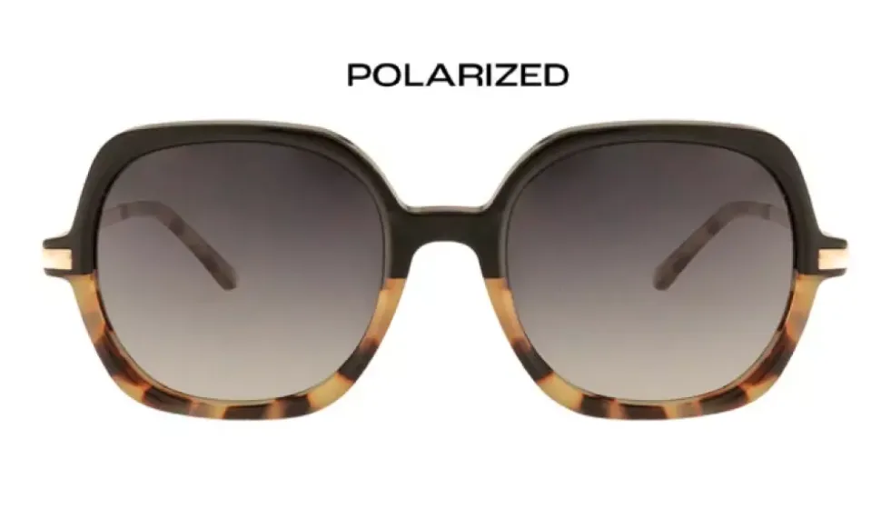 Positano Polarized Hedgehog