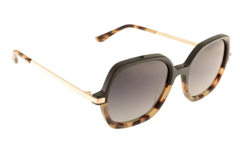 Positano Polarized Hedgehog