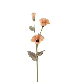 Prærieklokke Beige H60