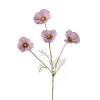 Pyntekosmos Rosa H60