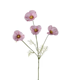 Pyntekosmos Rosa H60