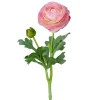 Ranunkel Lys Rosa H50