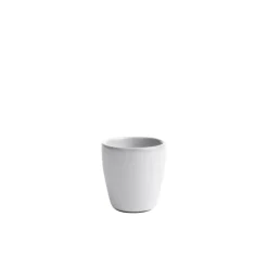 Raw Arctic White - Eggeglass