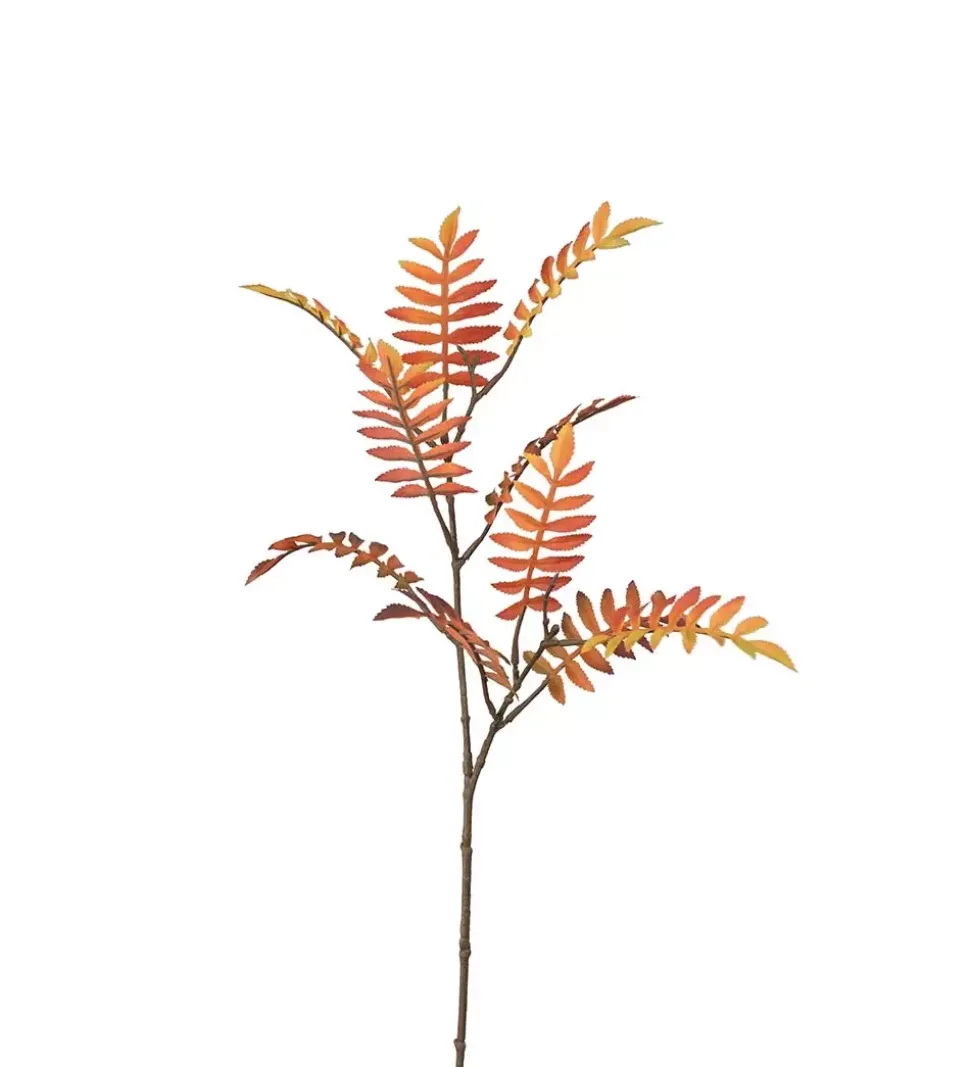 Rognebær Blad Oransje H60