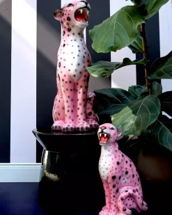 Rosa Leopard H34