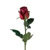Rose Dyp Rød H50