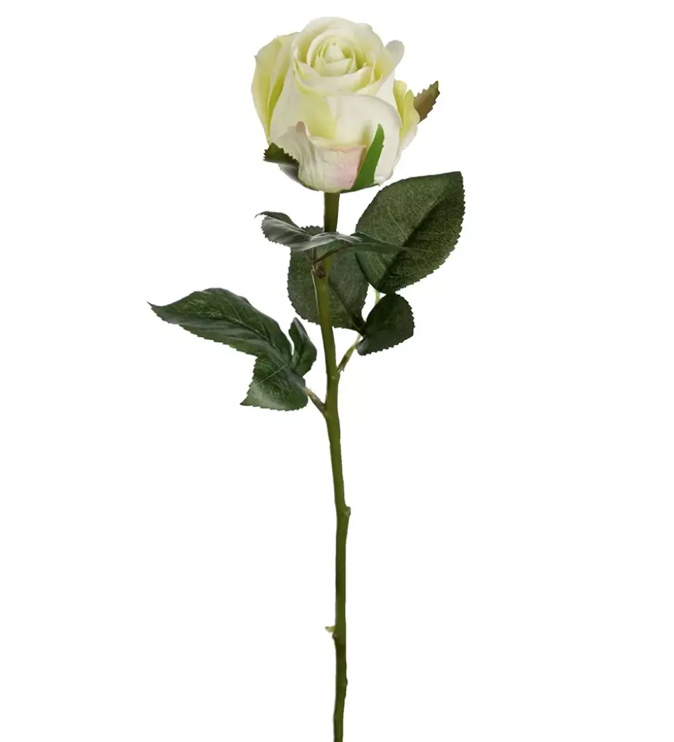 Rose Grønn 50cm